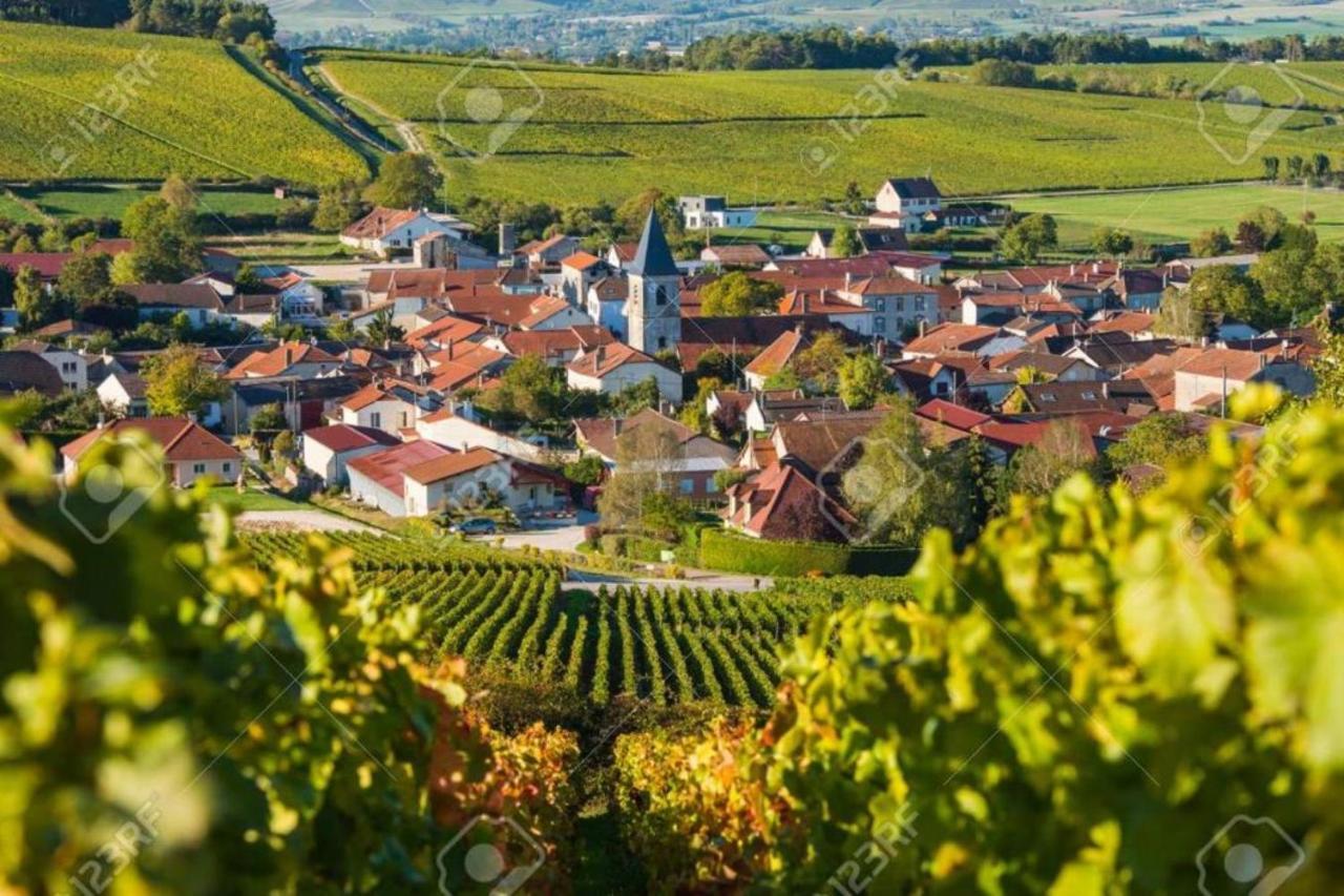 Au Coeur Des Bulles Hotell Loches-sur-Ource Eksteriør bilde